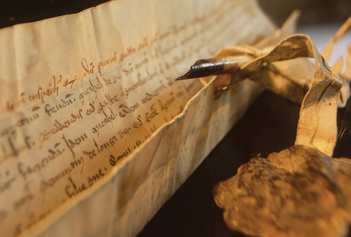 Plume du chantre Jacques